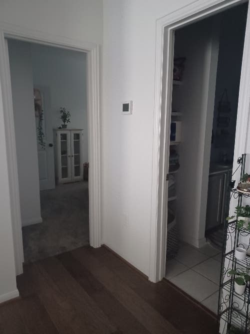 1 room for rent by Lake pflugervill