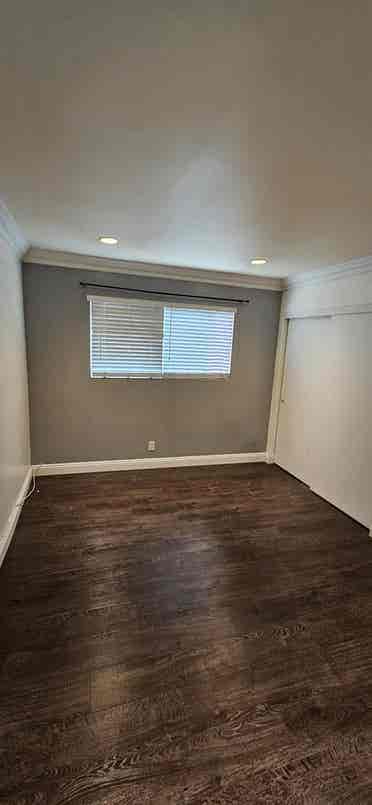 Looking for a roommate.