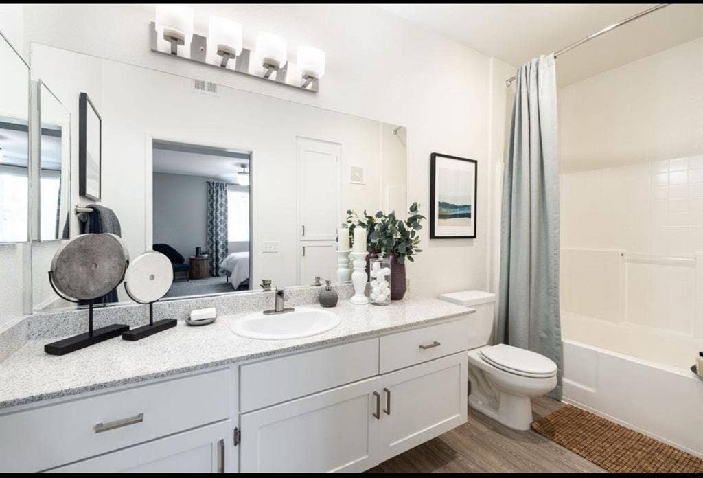 Looking for a roomate