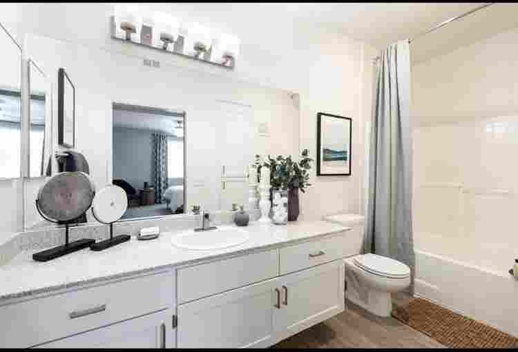 Looking for a roomate