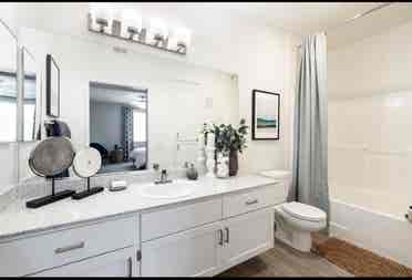 Looking for a roomate