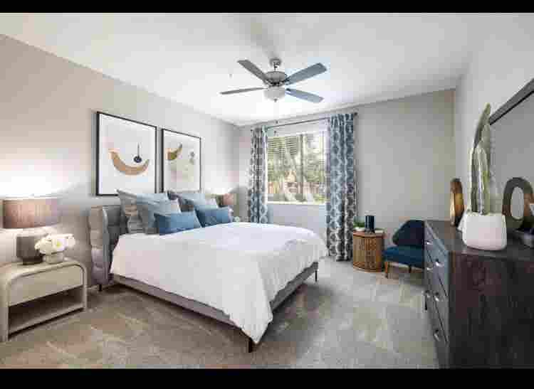 Looking for a roomate