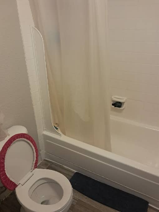 Laid Bacx & Respectful Roommates