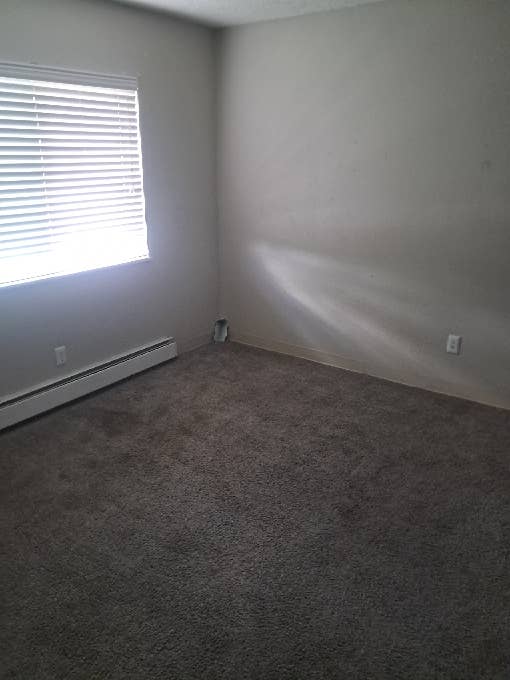 Laid Bacx & Respectful Roommates