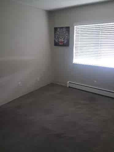 Laid Bacx & Respectful Roommates