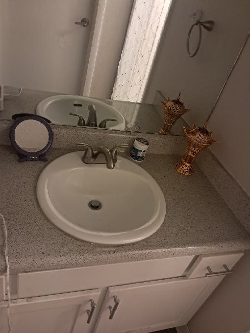 Laid Bacx & Respectful Roommates