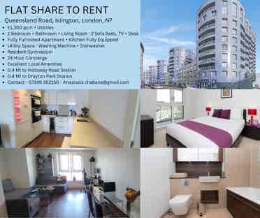 New Listing