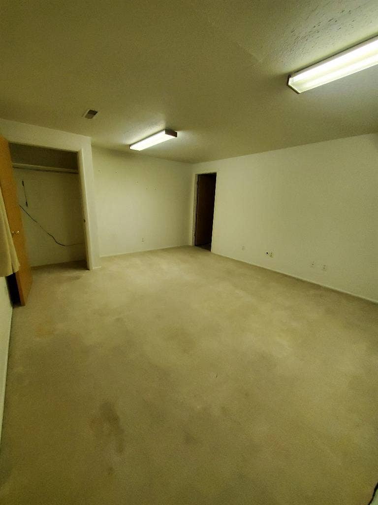 female roommate wanted