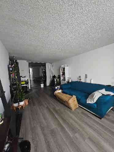 Looking for Female roommate