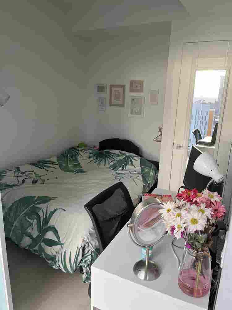 Looking for a roomate!