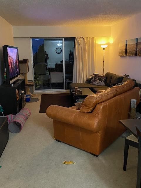 Room for September only $ CAD