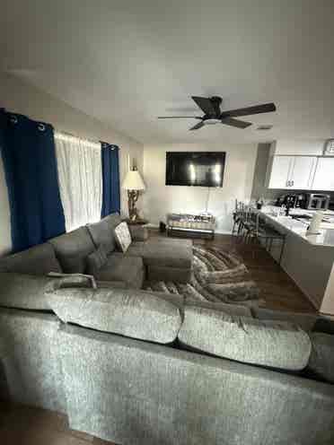 Room for rent New port Richey 