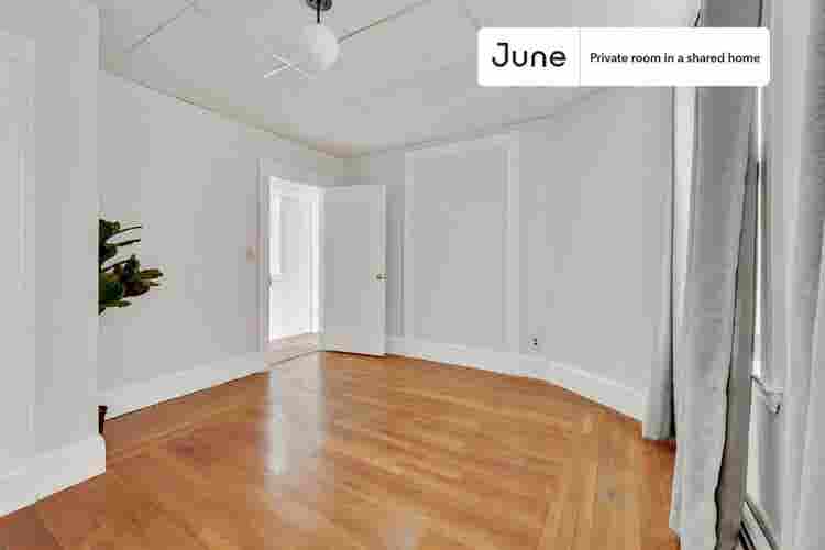 3 BR in Boston