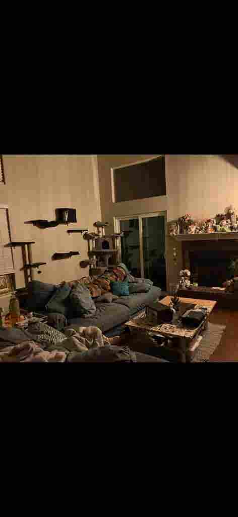 $ month room for rent