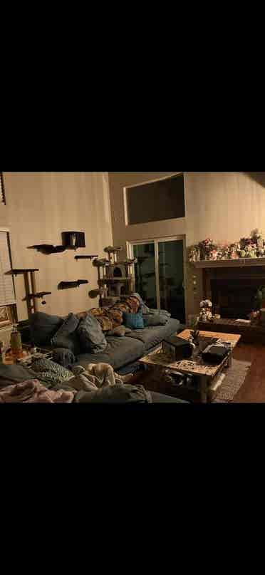 $ month room for rent