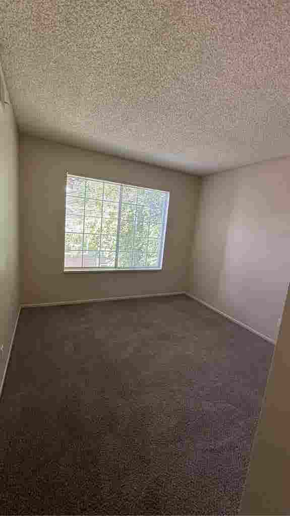 Looking for a (girl) roommate