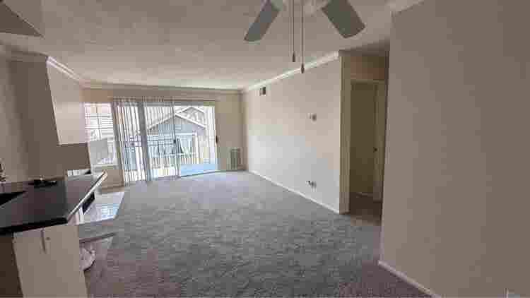 Looking for a (girl) roommate