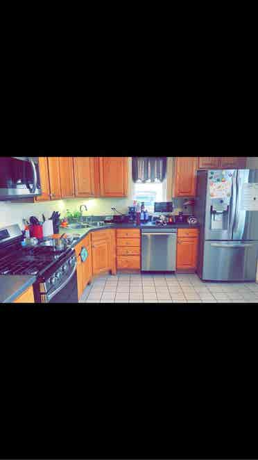 Looking for a cool chill roommate