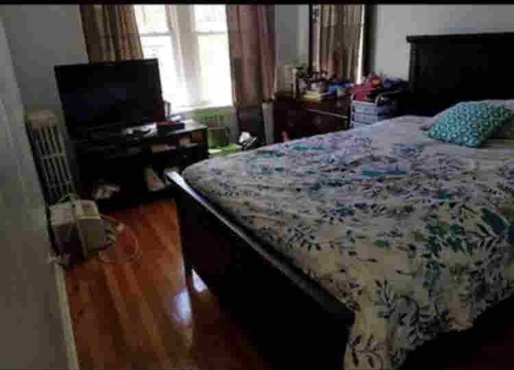 Looking for a cool chill roommate