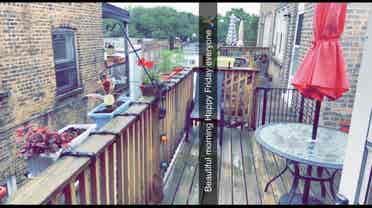 Looking for a cool chill roommate
