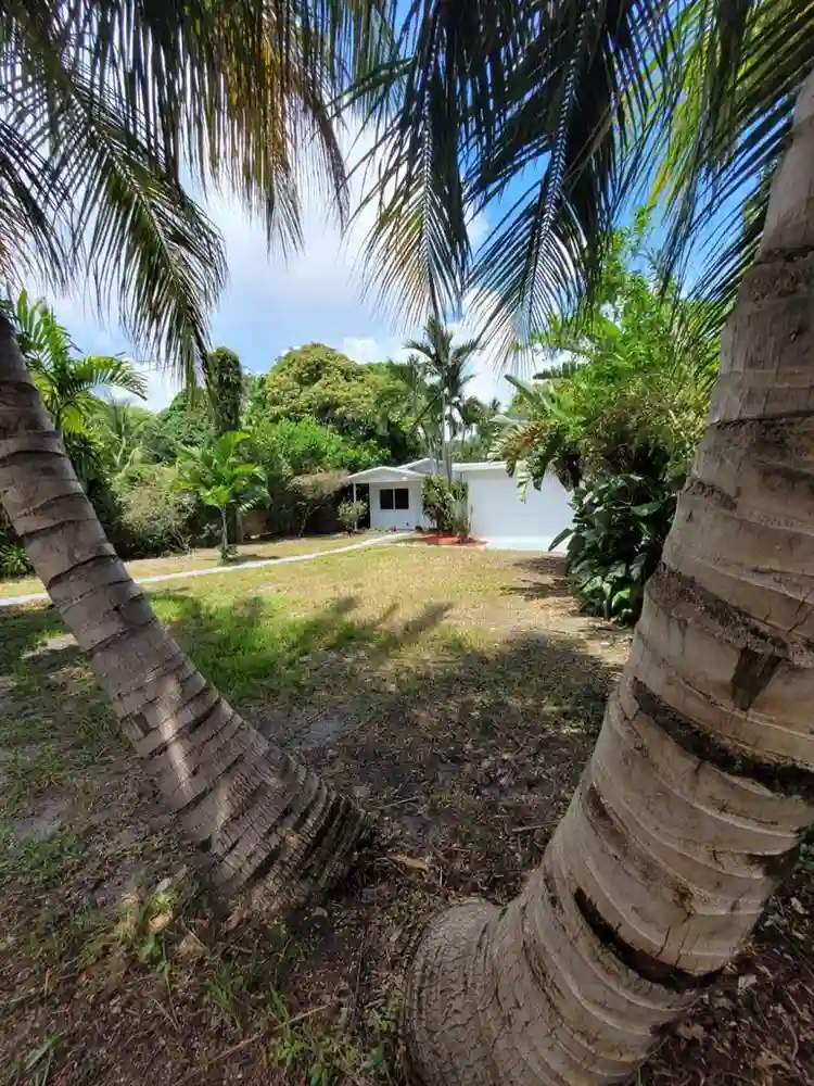 Modern Room for Rent