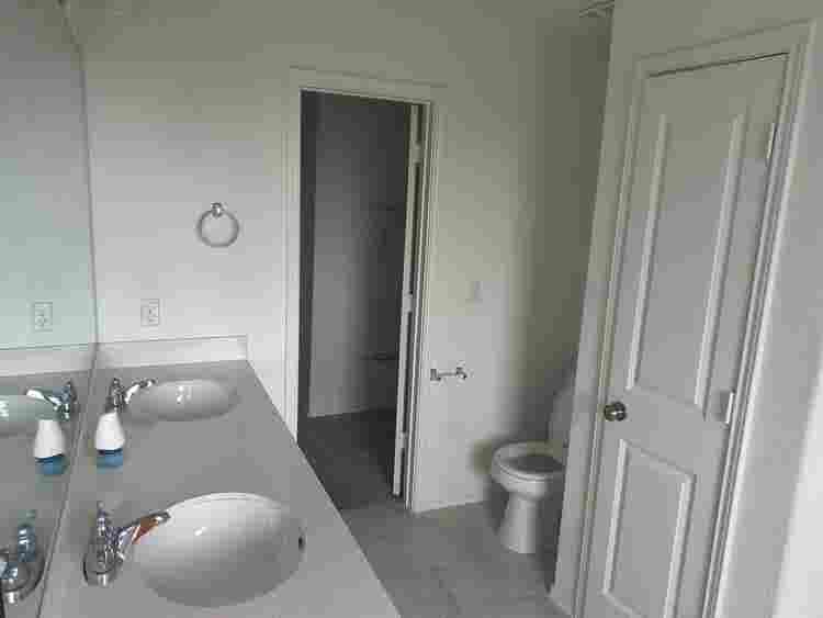 3 BR in Austin