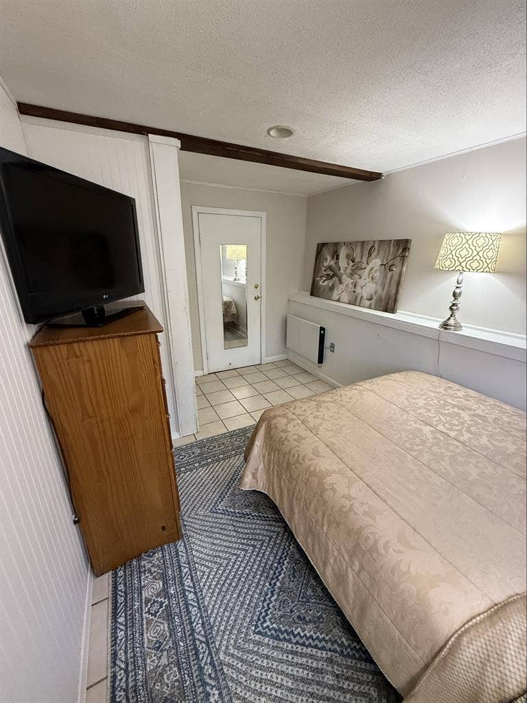 Professional Wanted for Room Rental