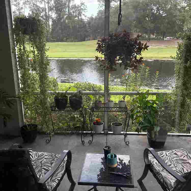Roommate needed now!!
