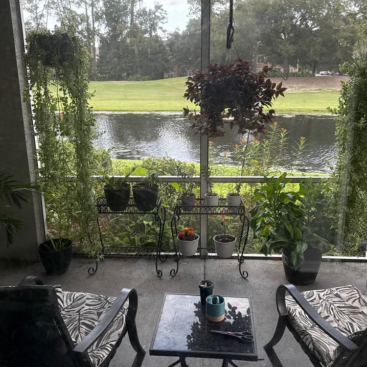 Roommate needed now!!