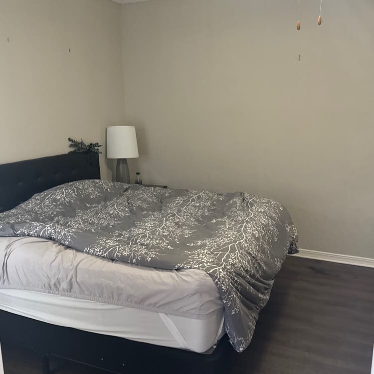 Roommate needed now!!