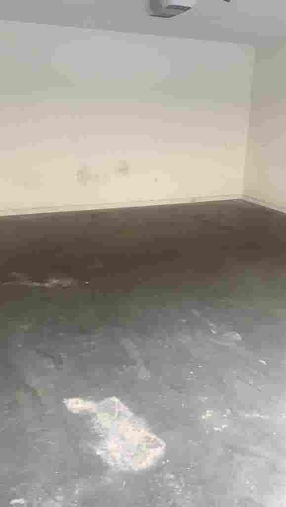 Spacious room for rent!