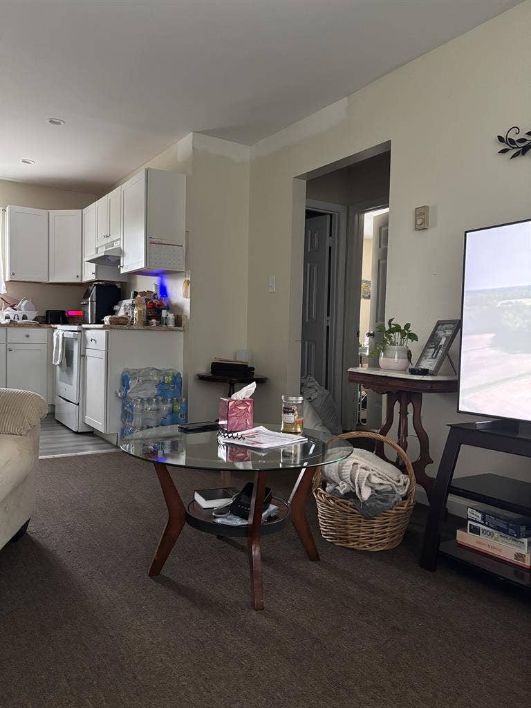 Seeking + room mate.