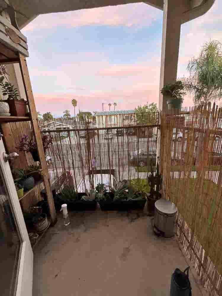 Open Room in three bedroom Condo!