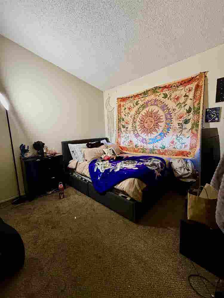 Open Room in three bedroom Condo!
