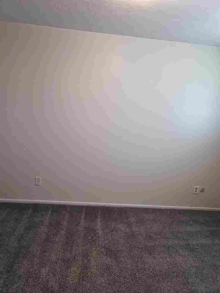 Looking for Female Roommate