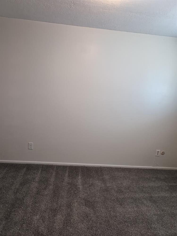 Looking for Female Roommate