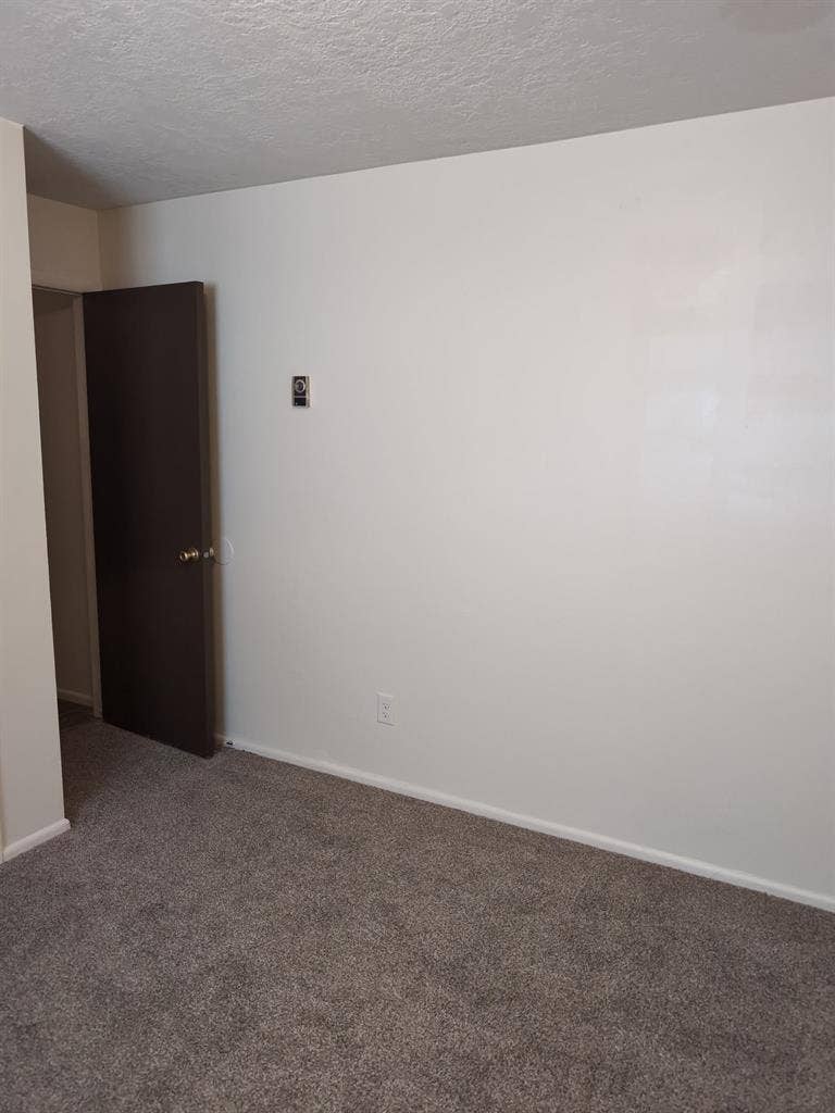 Looking for Female Roommate