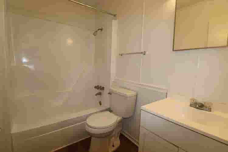 Room for Rent- Must be Dog friendly