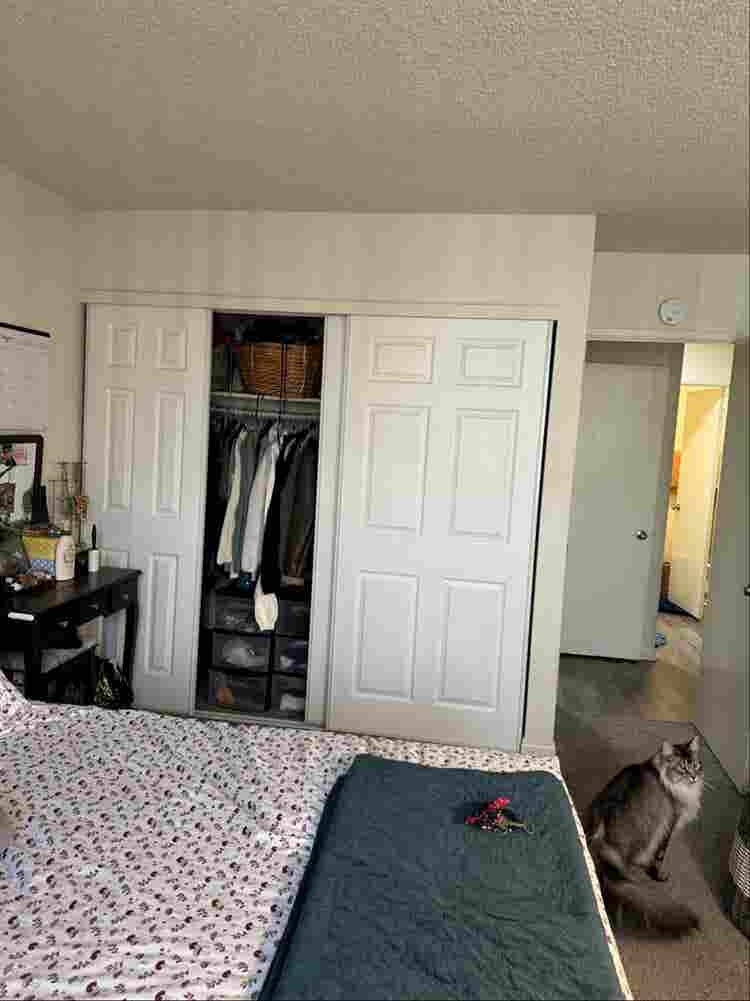 ROOMMATE NEEDED IN INGLEWOOD
