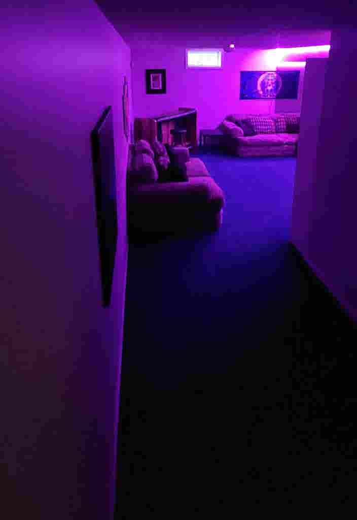 Basement style apartment