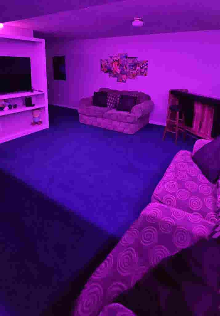 Basement style apartment