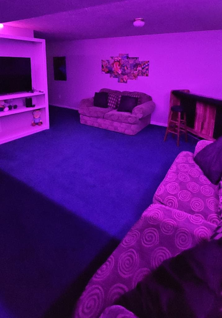 Basement style apartment