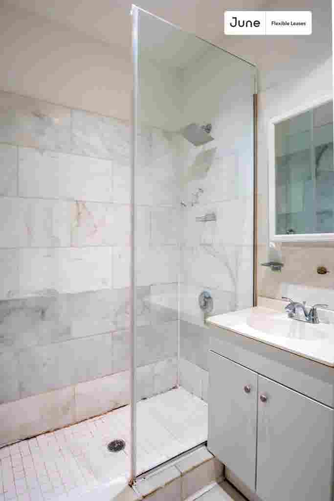 1 BR in New York City