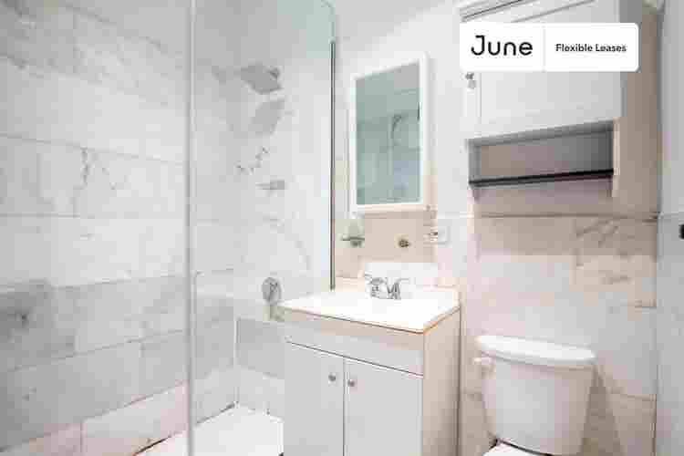 1 BR in New York City