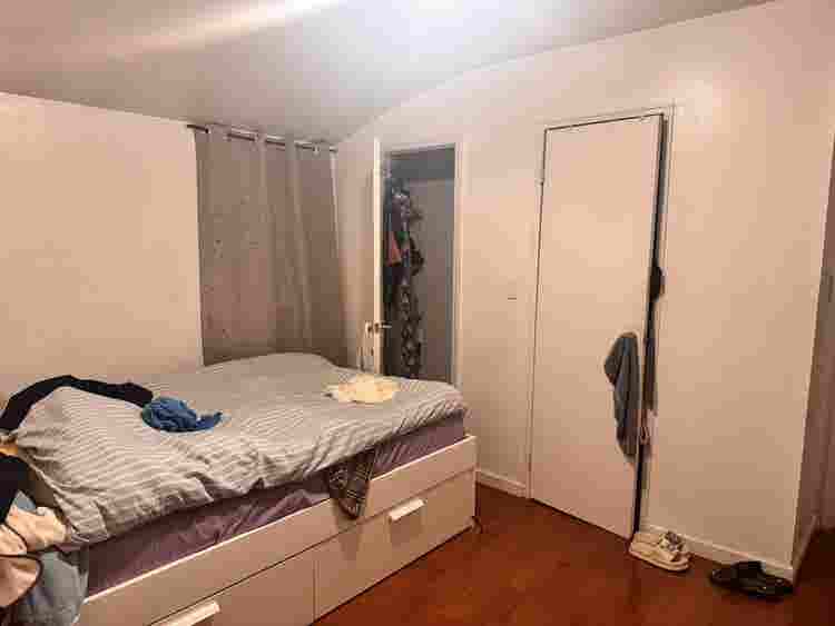 Looking for a roommate!