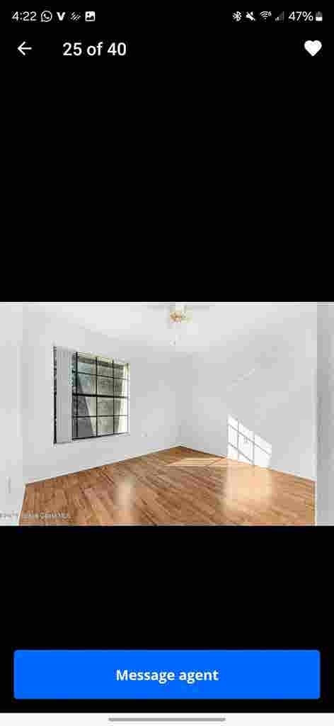 Looking for a roommate