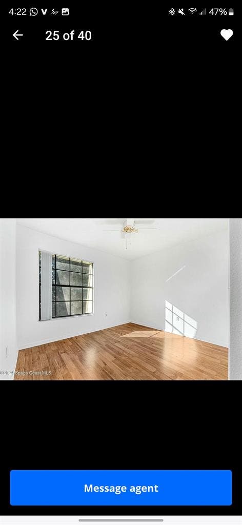 Looking for a roommate