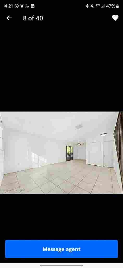 Looking for a roommate