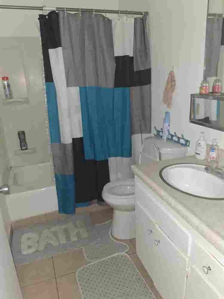 Share roommate rental