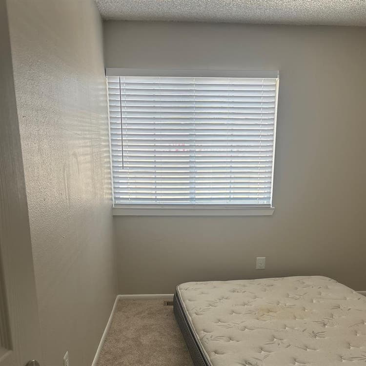 Roomate Needed